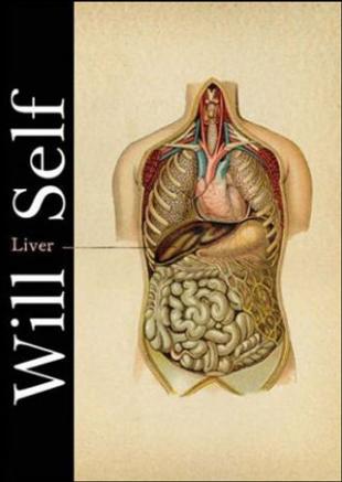 liver pancreas gallbladder anatomy. anatomy gallbladder