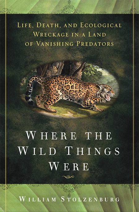 where-the-wild-things-were